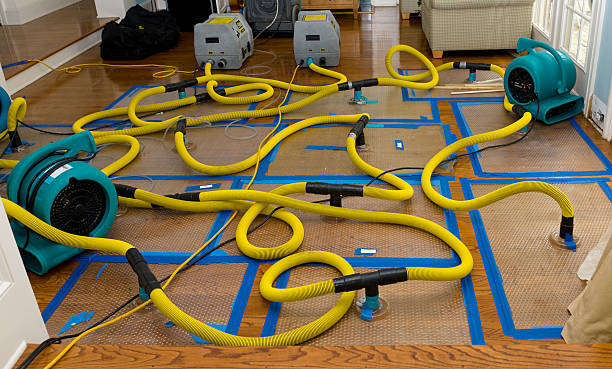 Professional Structural Drying And Dehumidification technician working in Newport, AR